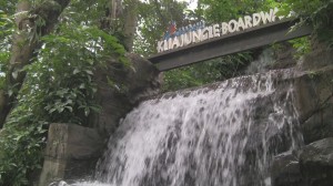 KLIA Jungle Boardwalk