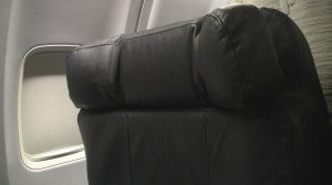 Typical Domestic Seat aboard United.